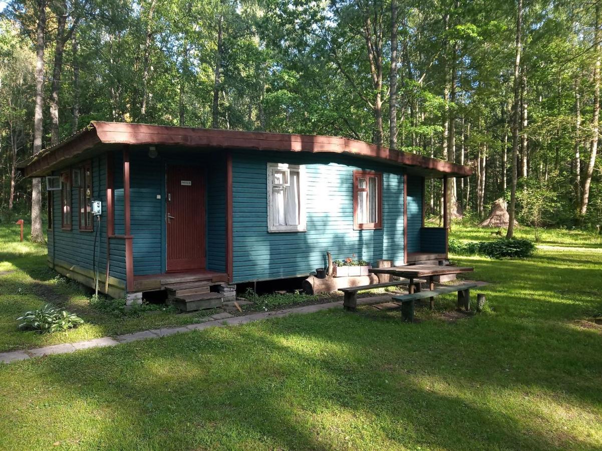 Asmonu Poilsiaviete Vila Kinty Exterior foto
