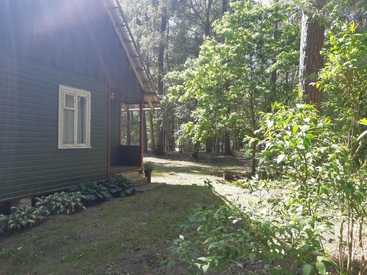 Asmonu Poilsiaviete Vila Kinty Exterior foto